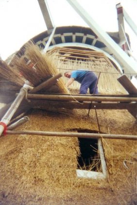 De beste rietdekker en de beste prijs?